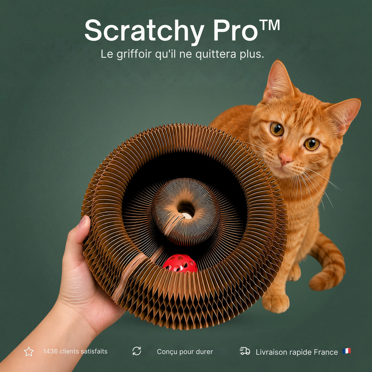 Scratchy Pro™